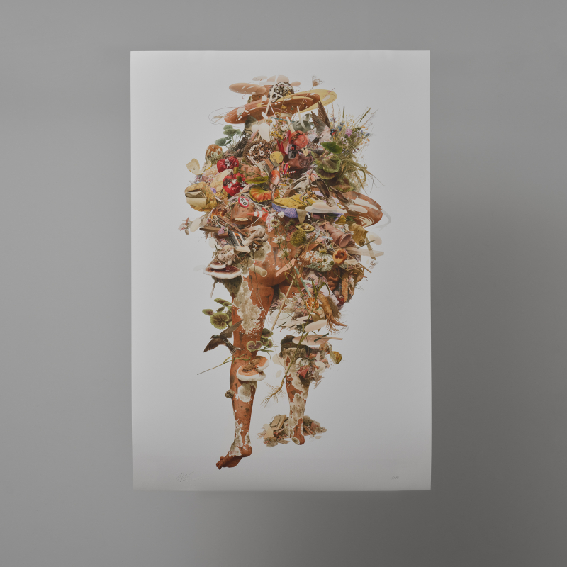 Anthropomorph II