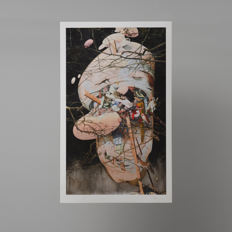 Cocoon